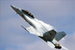 US Navy F/A-18F Super Hornet - by Richard VanderMeulen